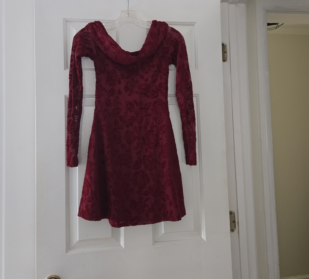 Wild Fable Deep Red Velvet Floral Dress